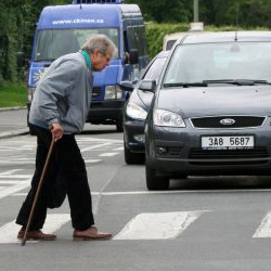 Tincidunt cursus quam